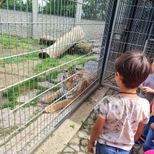 Družina - vycházka za zvířátky